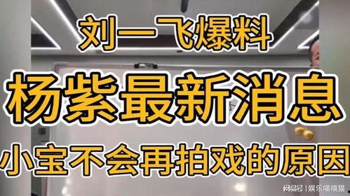 刘一飞最新爆料,揭秘娱乐圈惊人内幕 第2张 刘一飞最新爆料,揭秘娱乐圈惊人内幕 第2张