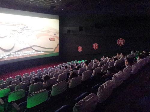 活割牛蛋视频在线观看,揭秘农场真实养殖过程  第2张