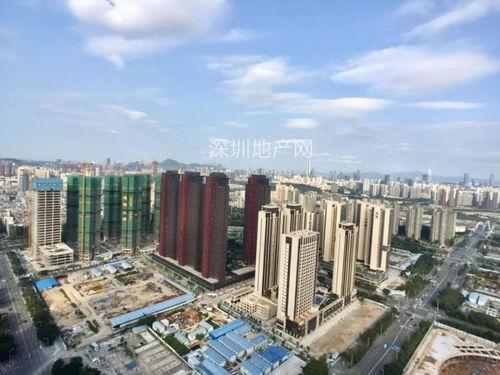 深圳最新房价爆料,揭秘热点区域涨幅与趋势